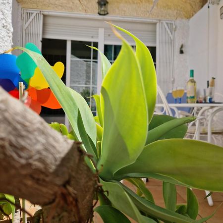 San Antonio - Beach, Pool And Terrace トレモリノス エクステリア 写真
