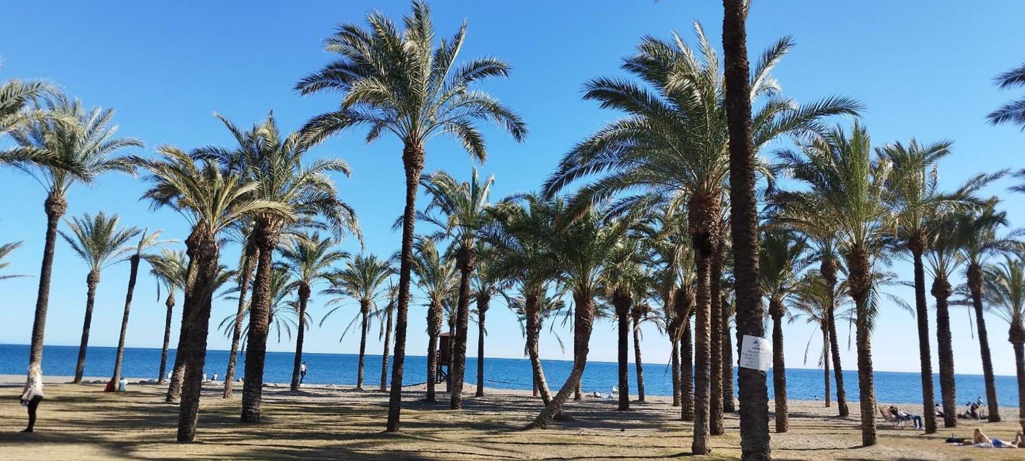 San Antonio - Beach, Pool And Terrace トレモリノス エクステリア 写真
