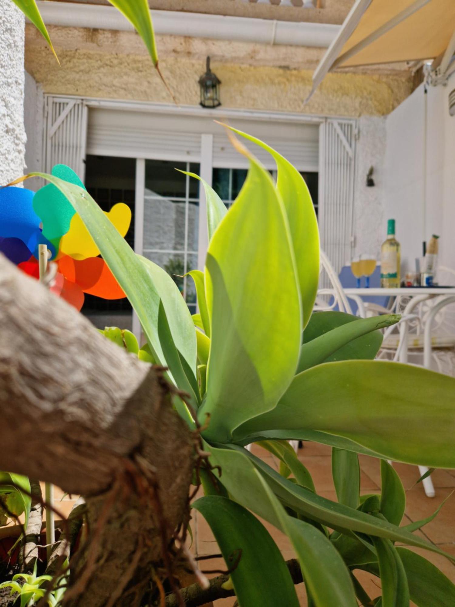 San Antonio - Beach, Pool And Terrace トレモリノス エクステリア 写真