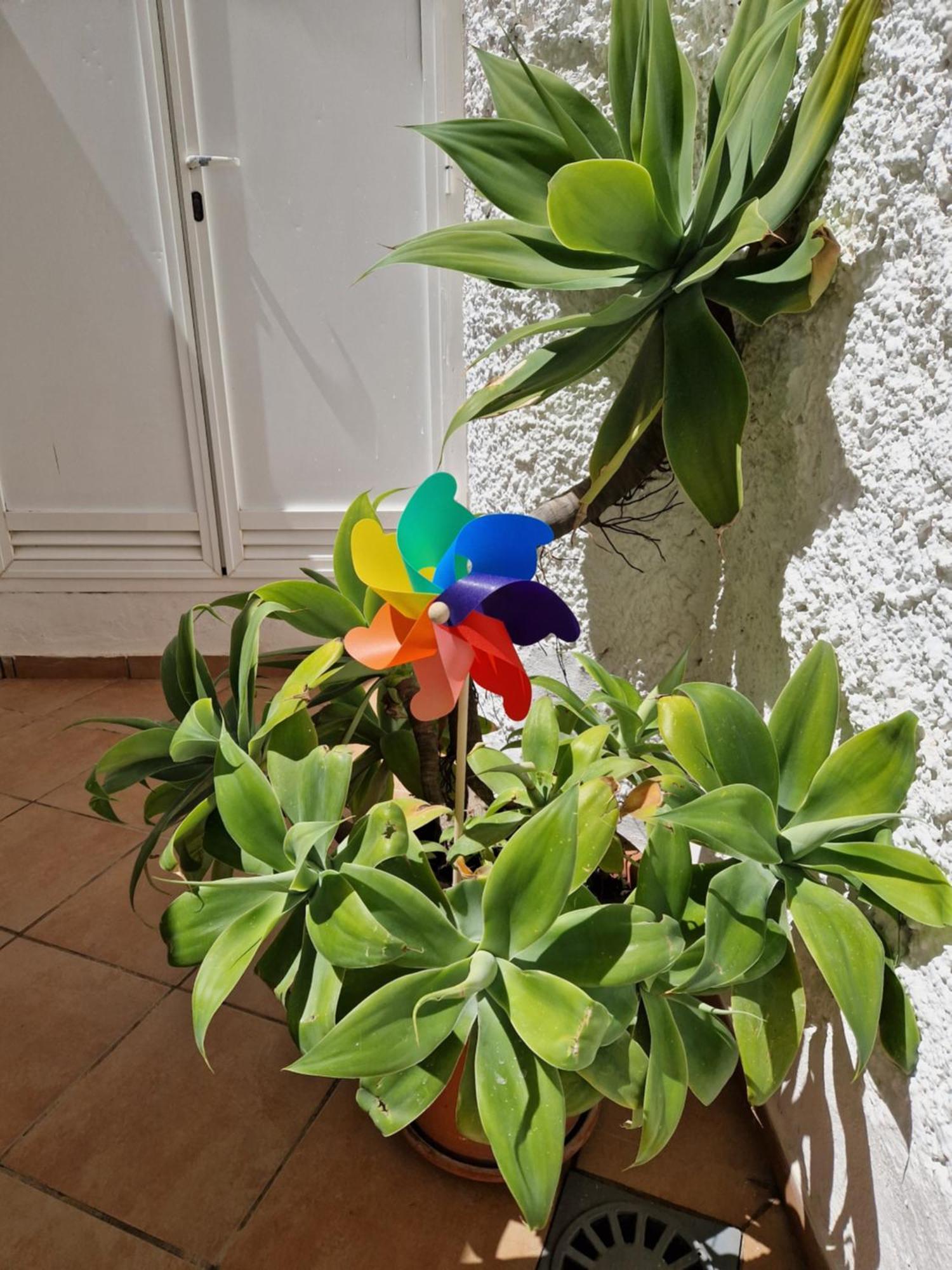 Torremolinos:Appartement Avec Piscine Et Terrasse エクステリア 写真